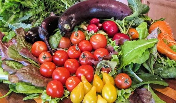 nutrition